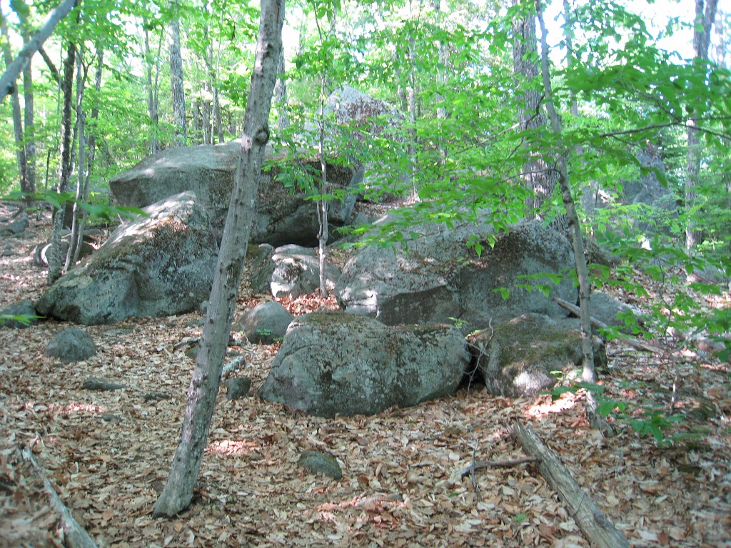 Elwell Trail NH 2010 090.jpg - The Elwell Trail North of Bristol NH, runs along Newfound Lake. The trail goes to Little and Big Sugarloaf mountains. Supposedly it also connects to Mt Cardigan. May 2010.